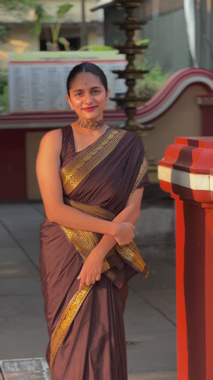Party Wear Festive Wear Women Saree